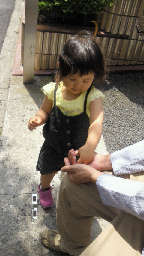 201105041259000.jpg