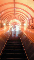 201103261233000.jpg