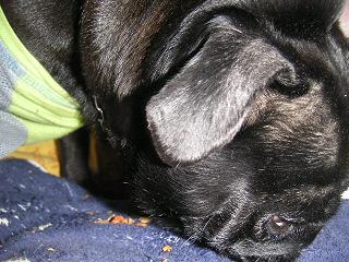 PICT26381.JPG