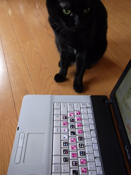 文字を打つの得意だよ！