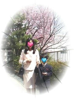 cherryblossom
