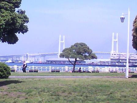 ｓｅａ＆ｂｒｉｄｇｅ