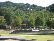 IMG_3474.JPG