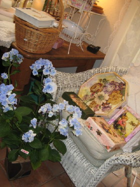 IMG_1299_4.JPG