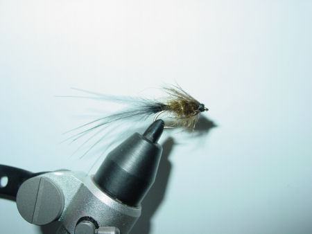 20101231 001.jpg