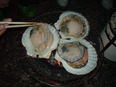20091212 007.jpg