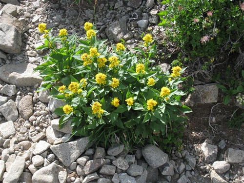 20100821 022_R.jpg