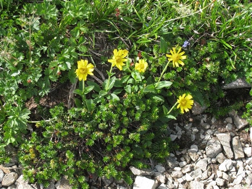 20100821 023_R.jpg
