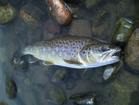 20090927 002.jpg
