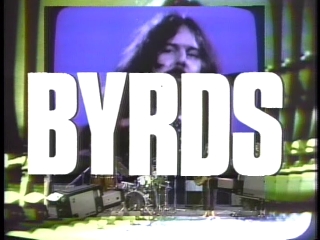 164 the byrds so you want to be a rockn'roll star.JPG