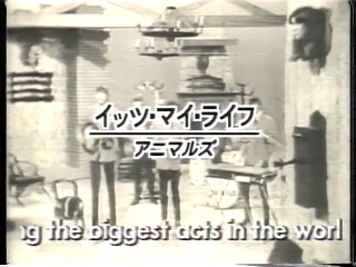 43 イッツ・マイ・ライフ(アニマルズ).JPG