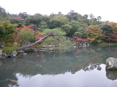 天龍寺　曹源池から