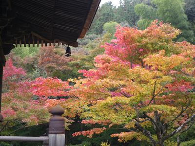 常寂光寺紅葉２