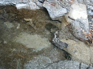 水、取水口.jpg