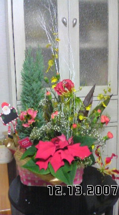 クリスマスアレンジ