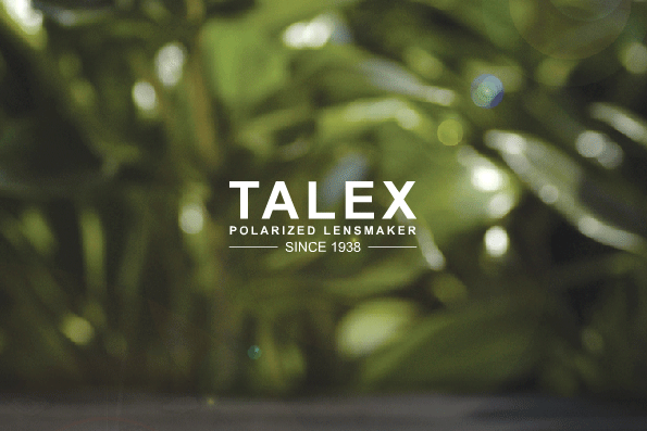 talexlogo1.gif