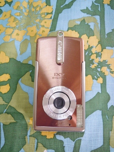 DSCN0022 (236x314).jpg