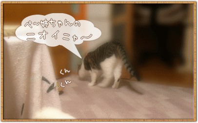 くんくん･･･