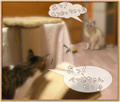 ぺ～姉ちゃ～ん♪
