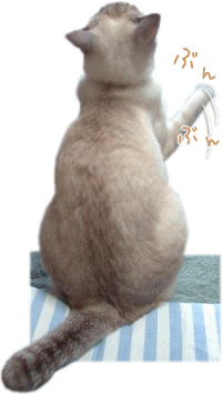 何と遊んでるの？