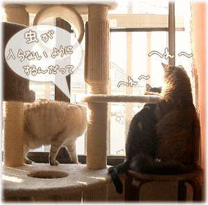 できるのかなぁ～？