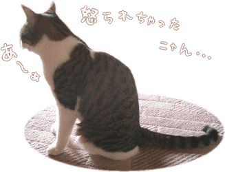 怒られちゃったニャ