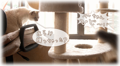 勝っちゃったの!?