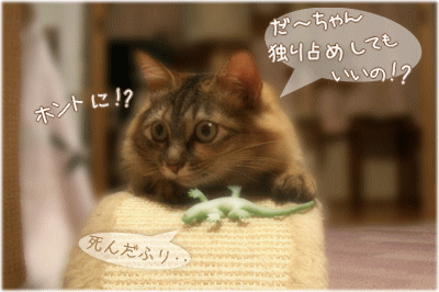 だ～ちゃんの!?