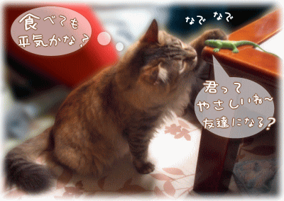 大きな思い違い