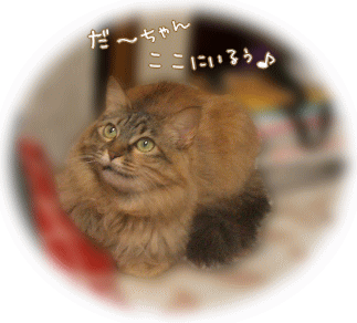 休憩中ニャの♪