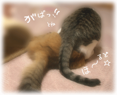 思いきり良く　ほ～るどぉ！