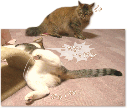 ニャだ~! ジタバタ・・・