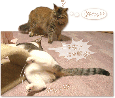 ニャだ! ニャだ!! ジタバタ・・・