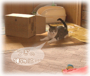 次の獲物は･･･　どれだっ!?