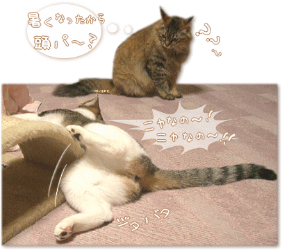 ニャなの~! ジタバタ・・・