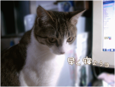 目悪くなるのニャ～!?