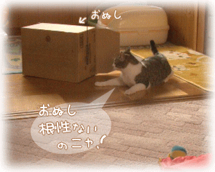 おぬし･･　根性ないのニャ～！