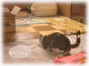 ふん･･　ふん・・・　ふ～ん････