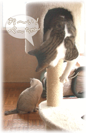 お～い！　ここよぉ♪