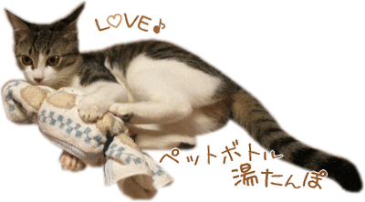 ペットボトル湯たんぽ