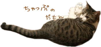 ちゃっぷの湯たんぽ