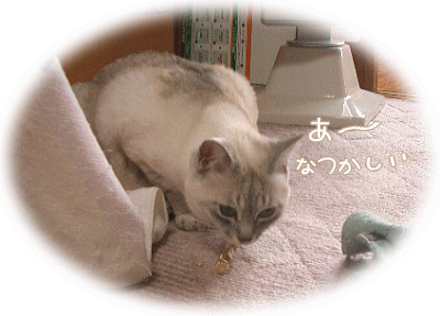 なつかしいニャ～♪