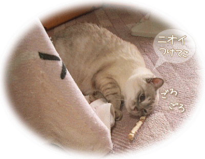 ニオイつけてかなくちゃ！