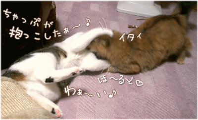 愛情ほ～るど♪