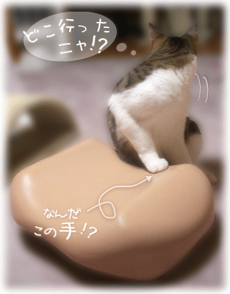 どこいったの？