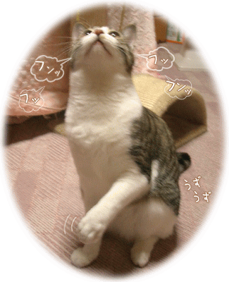 ふんっ　ふっ･･･　鼻息荒っ！