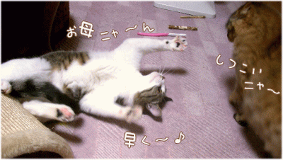 抱っこ♪　抱っこ♪　抱っこ♪