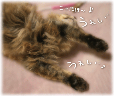 うれしすぎるぅ～♪