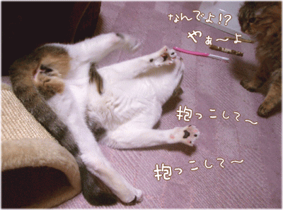 抱っこ♪　抱っこ♪