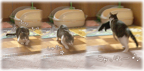 ニャっほ～　=^_^=♪